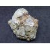 画像2: 中国内モンゴル産  フローライト  蛍石【2208009】 (2)