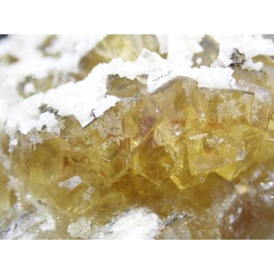 画像6: スペイン産 フローライトとバライト、ドロマイト【2311005】