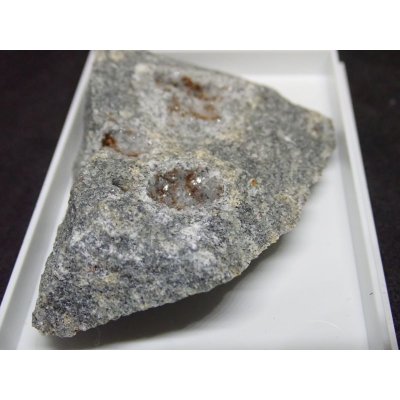 画像4: 【レア！】トウペルスアツイアイト【2311009】