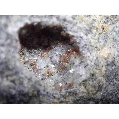 画像5: 【レア！】トウペルスアツイアイト【2311009】