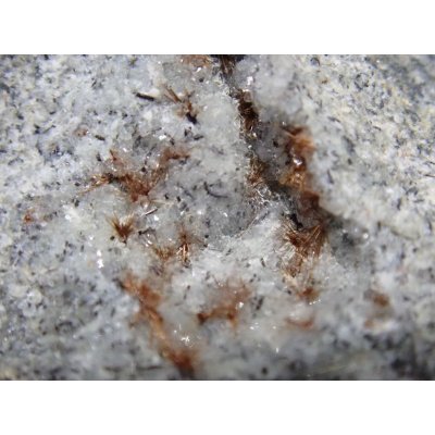 画像6: 【レア！】トウペルスアツイアイト【2311009】