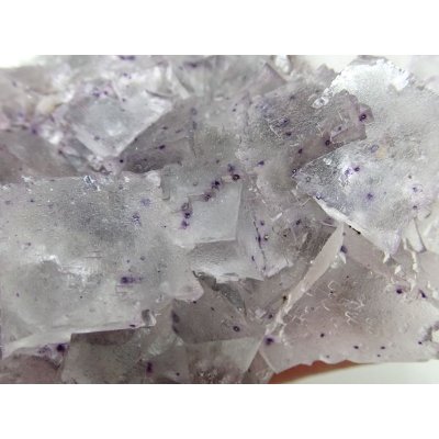 画像6: アメリカ産 フローライト【2311014】