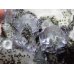 画像6: 中国産 水晶、緑泥石、フローライト【2311019】