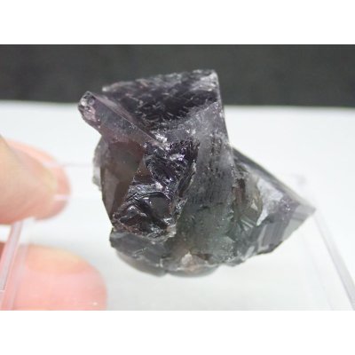 画像3: イギリス産 フローライト【2311027】