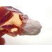 画像5: キュービックジルコニア原石 シャンパンカラー スカルメルティング法【G240215】