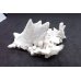 画像3: 【ユニーク！】雪山のような水晶【240405】