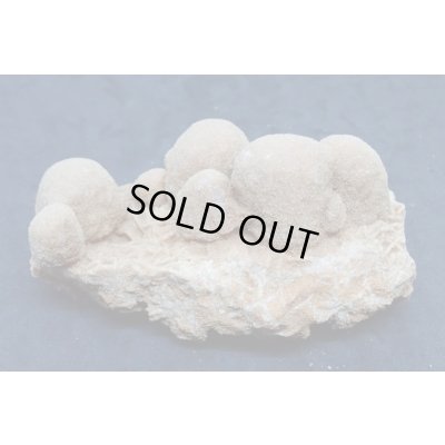 画像3: ユニーク形状のデザートローズ２【240425】