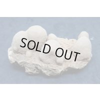 ユニーク形状のデザートローズ２【240425】