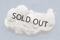 ユニーク形状のデザートローズ２【240425】