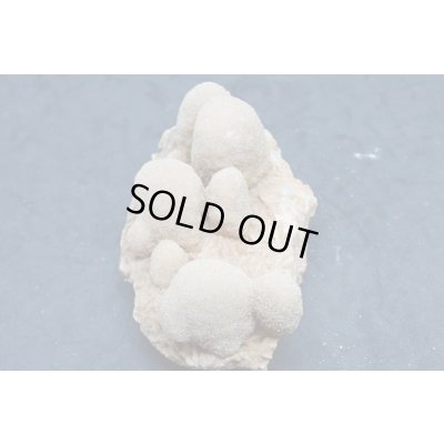 画像2: ユニーク形状のデザートローズ２【240425】