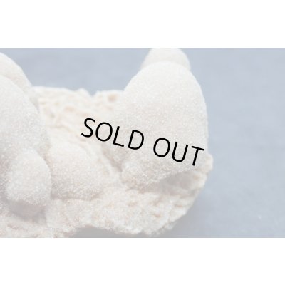 画像6: ユニーク形状のデザートローズ２【240425】