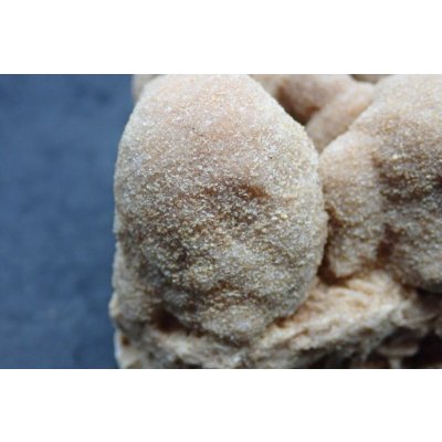 画像5: ユニーク形状のデザートローズ１【240424】