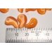 画像2: 人工キャッツアイガラスの勾玉 オレンジ！13〜15mm 3個セット！【G240453】 (2)