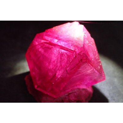 画像6: レッドミョウバン 2 【G250219】