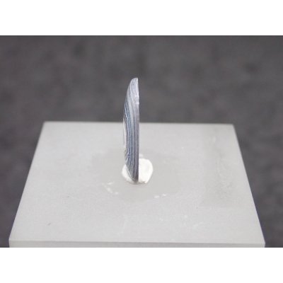 画像2: フォーダイト　D12