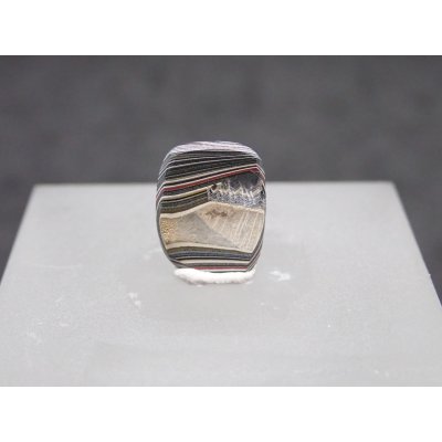 画像3: フォーダイト　D17