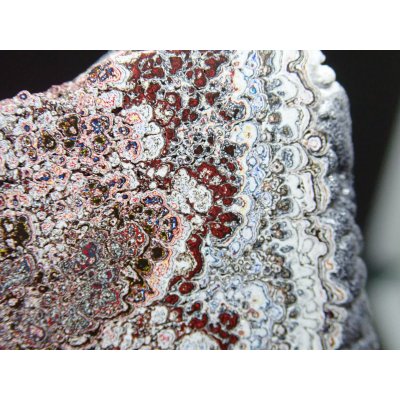 画像5: フォーダイト　D40