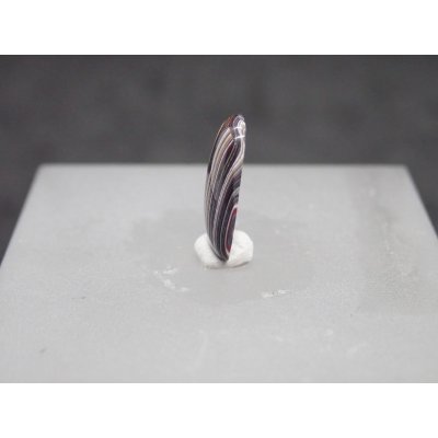 画像2: フォーダイト　D15