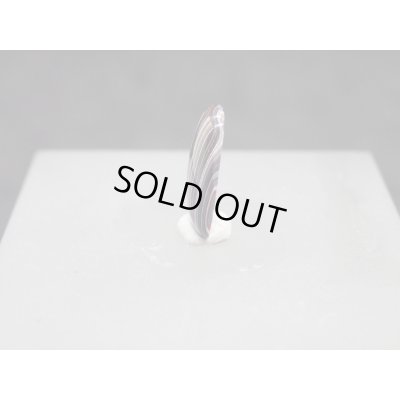 画像2: フォーダイト　D15