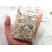 画像1: 【740ct】大量外し石オパールセット！！ (1)