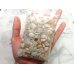 画像2: 【740ct】大量外し石オパールセット！！ (2)