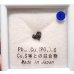 画像1: LK-99と同組成の標本 1 (1)