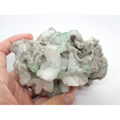 画像5: インド産 グリーンアポフィライトとスティルバイト【251104】