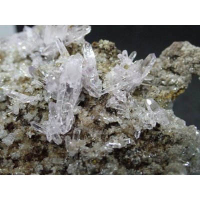 画像7: メキシコ産 ベラクルスアメジスト【251106】