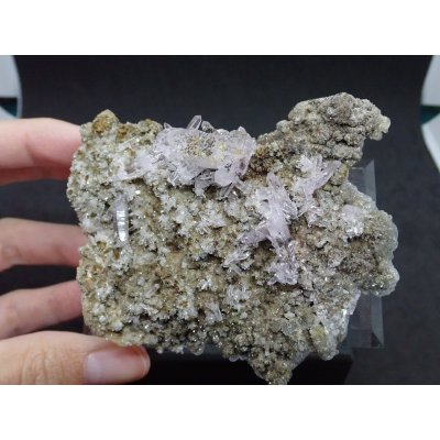 画像5: メキシコ産 ベラクルスアメジスト【251106】