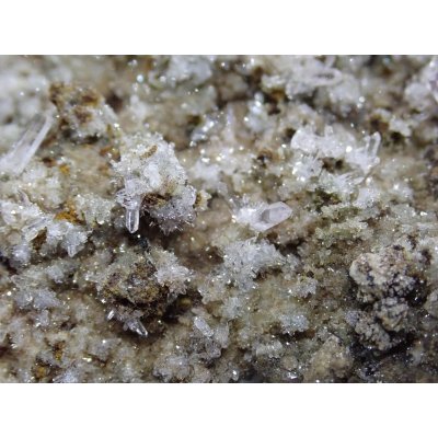 画像8: メキシコ産 ベラクルスアメジスト【251106】