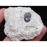 ボリビア産 母岩付きタンビュライト【251120】