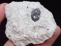 ボリビア産 母岩付きタンビュライト【251120】