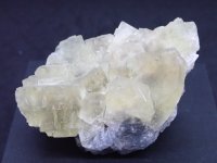 中国 北京産 フローライト【251122】