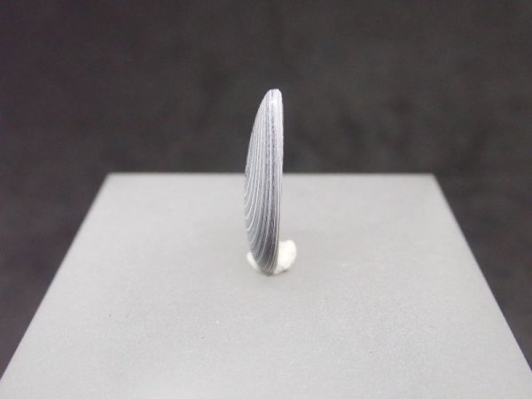 画像2: フォーダイト　４２ (2)