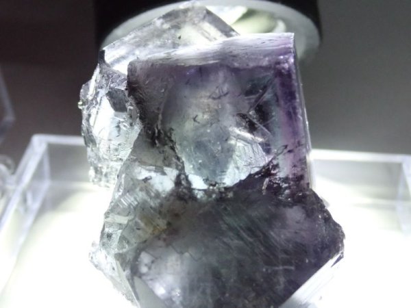 画像6: イギリス産 フローライト【2311027】 (6)