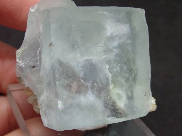 画像6: 中国産 フローライト【2311034】 (6)