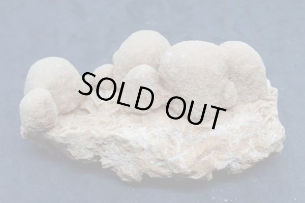 画像3: ユニーク形状のデザートローズ２【240425】 (3)