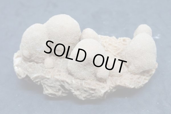 画像1: ユニーク形状のデザートローズ２【240425】 (1)