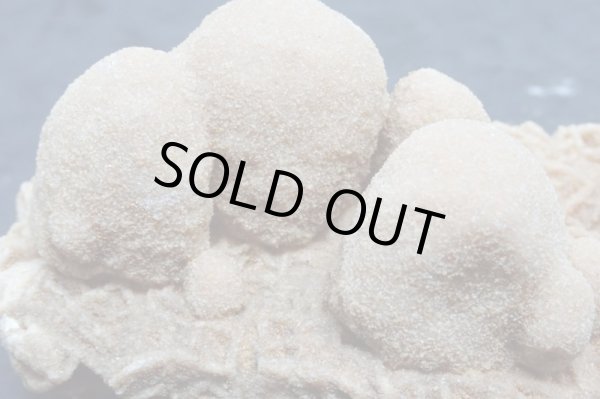 画像5: ユニーク形状のデザートローズ２【240425】 (5)