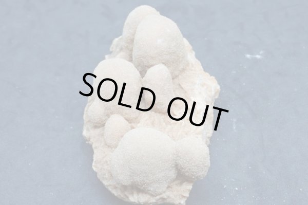 画像2: ユニーク形状のデザートローズ２【240425】 (2)