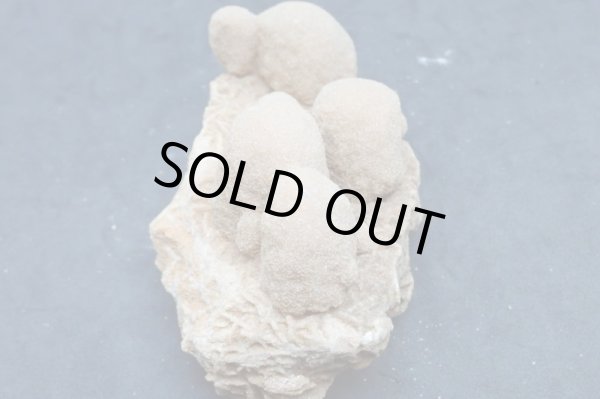 画像4: ユニーク形状のデザートローズ２【240425】 (4)