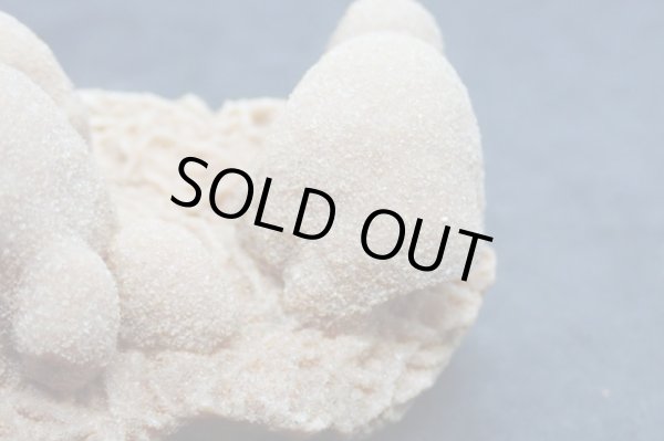 画像6: ユニーク形状のデザートローズ２【240425】 (6)