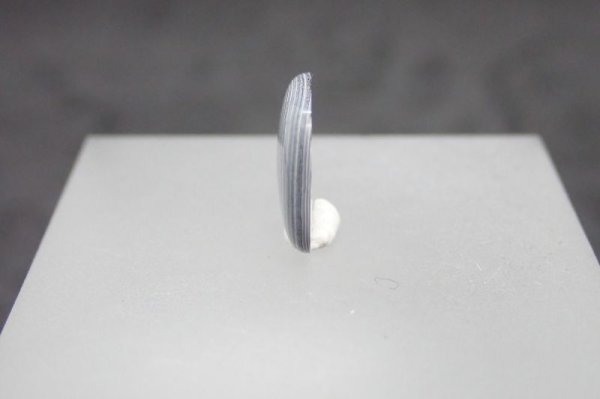 画像2: フォーダイト　B9 (2)