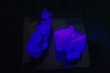 画像7: 可視光線カットフィルタ搭載 長波紫外線ライト【Z2402】 (7)