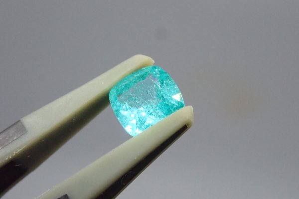 画像3: エクセルスピネル No.177 (3)