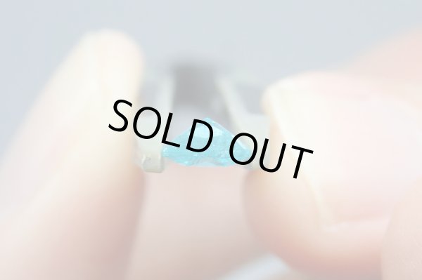 画像6: エクセルスピネル No.175 (6)