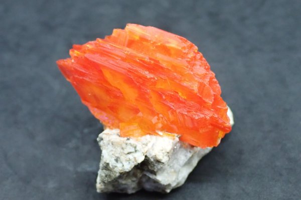 画像3: オレンジアルカナイト 3 【G250209】 (3)