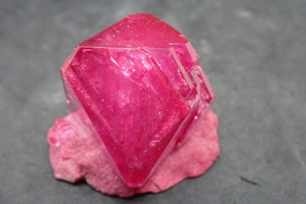 画像4: レッドミョウバン 2 【G250219】 (4)