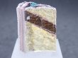 画像3: フォーダイト　D40 (3)