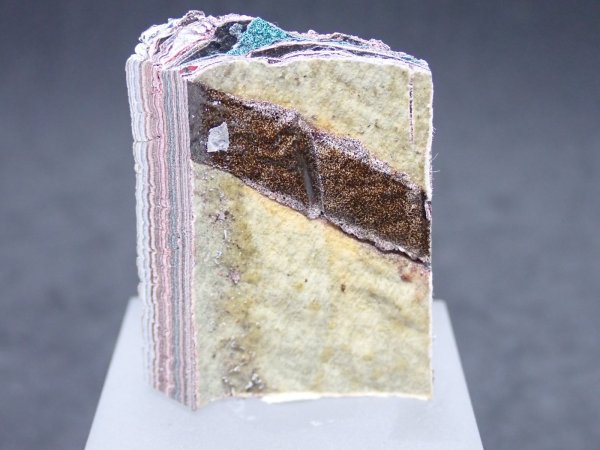 画像3: フォーダイト　D40 (3)